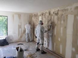 Best Environmental Consulting for Mold Prevention  in Citrus City, TX